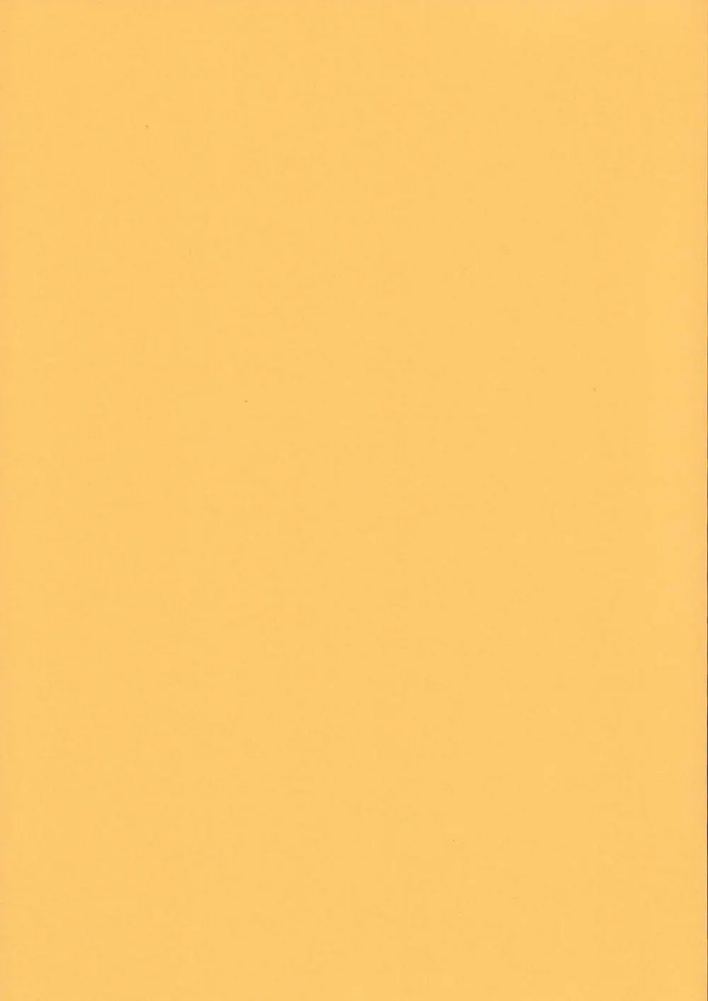 ткань Рулонные шторы Стандарт Карина_Int светло-желтая