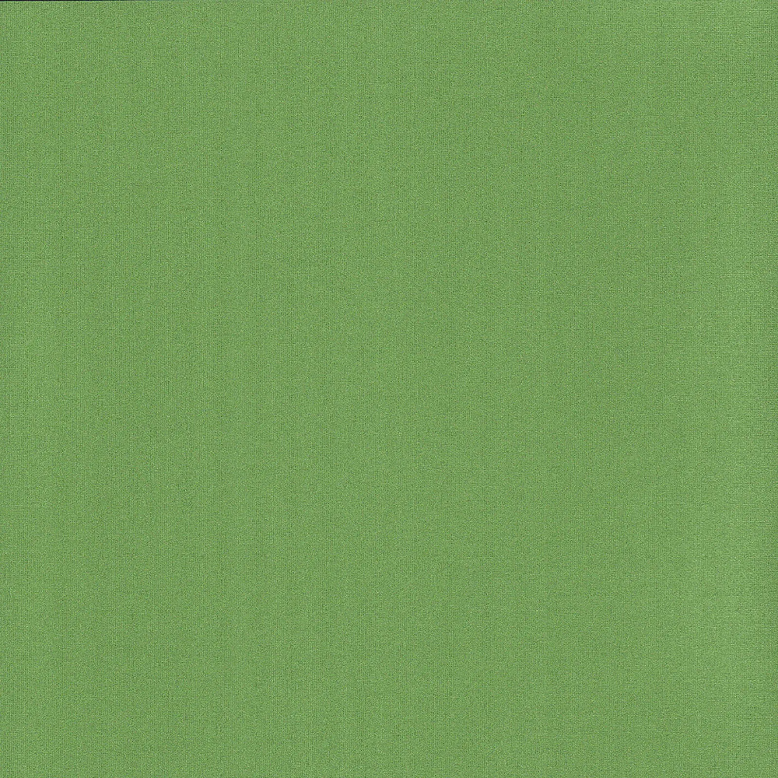 ткань Рулонные шторы Уни2 Металлик_Int светло-зеленый